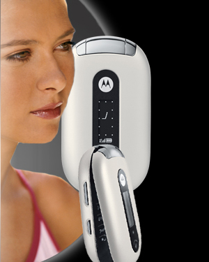 Marias Special Edition White MOTOPEBL hughes 777904478 1157676921