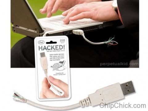 砍死2 GB的闪存驱动器将以此为stares hackedusb-480x360