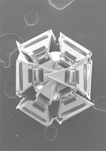 Microgrippers could be future of surgery microgrip