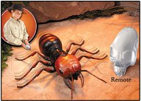 indyjones rc ant
