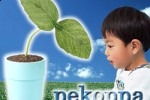 Sega Toys robotic plant makes you feel less alone