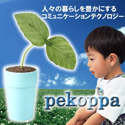 noddingplant