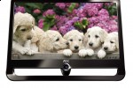 AOC F19 Monitor is stylish yet affordable