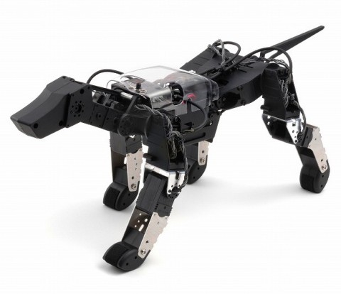 hpi g dog 1 480x414