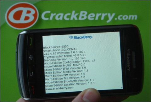 blackberry_storm_47085 blackberry storm 47085 480x326