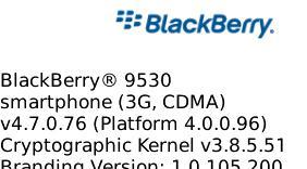 blackberry_storm_76