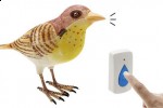sparrow doorbell 150x100