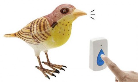 sparrow_doorbell sparrow doorbell 480x286