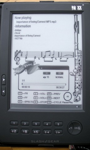 pixelar e reader review 3 sg 290x480