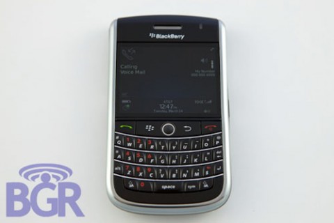 BlackBerry Tour expected July 13th blackberrytour leaklg 480x320
