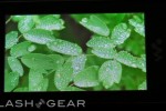 walkman-x-2-slashgear-06-r3 walkman x 2 slashgear 06 r3 150x100