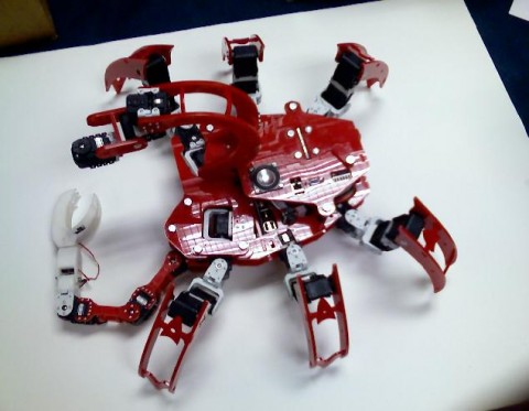 Chiara_Robot_3 Chiara Robot 3 480x373