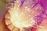 Verizon FiOS internet speed boost: up to 20Mbps uploads