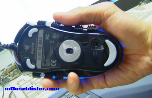 mouse_blister_2 mouse blister 2