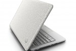 HP Mini 311 in albescent whirl face mitt covering 150x100