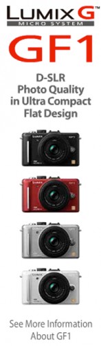 panasonicgf1 adlg 147x500
