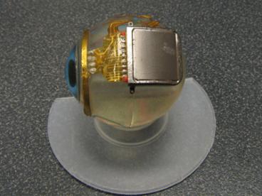 retinal implant 1