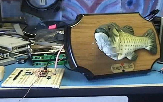 twitter_fish twitter fish 540x340