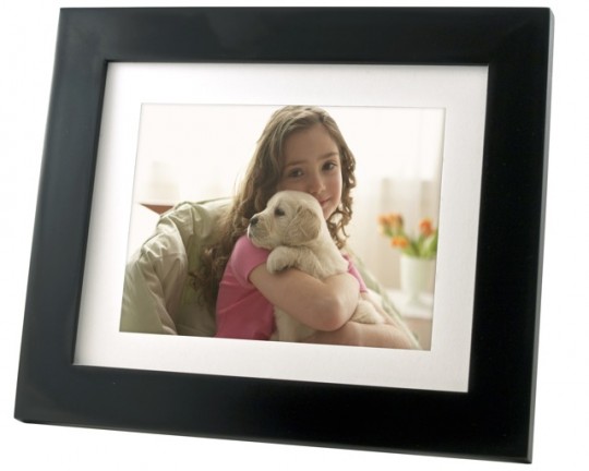 Pandigital Photo Mail LED DigitalPhoto Frame PAN8008DW puppy 540x432