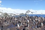 Google Street View hits Antarctica
