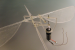 Ornithopter Replicates Insect Flight