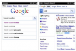 BlackBerry 6.0 Gets Google Search Update