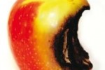 Apple hack latest in Anonymous AntiSec campaign