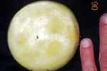 NASA sting over a tiny rock makes 73-year-old woman wet herself