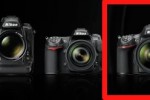 Nikon D800 prematurely pictured