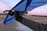 Sean Kinkade Park Hawk Ornithopter reminds us that Da Vinci had it right