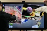 Ideum unveils 65-inch multitouch 3D wall display