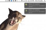 Mountain Lion hasn’t mauled us insists Growl