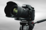 Nikon confirms third new DSLR incoming