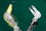 Singapore researchers design crab-shaped cancer-removing robot