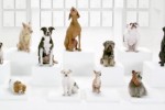 Hulu users vote Honda’s ad as top Super Bowl commercial