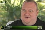 Megaupload says a number of users are from the US government
