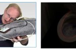 Ben Heck creates custom toilet illuminator