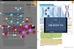 KNO platform lands digital textbook deal with Houghton Mifflin Harcourt