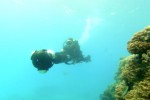 Google Street View goes diving with underwater panoramas