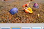 Olympus Image Share app adds remote Instagram-style effects