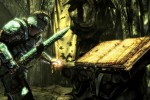 Skyrim Dragonborn DLC struts its stuff in new screenshots