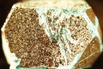 Magical magnets: Research tips denser HDDs and galaxy-spanning instant comms