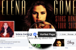 Facebook intros verified pages and profiles, takes a page from Twitter
