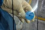 Nokia tablet (or large handset) RX-114 appears with Snapdragon 800