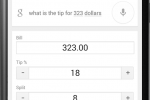 Google Search app scores tip calculator