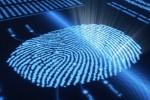 Samsung biometric security acquisition scam prompts fraud investigation