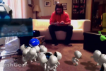 Twitch bans Playroom from PS4 streams