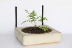 Marble WiFi router lets you grow a small plant on its surface