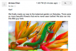 Gmail displaying images instantly without malware threat soon