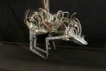 DARPA Robotics Challenge scores four additional teams